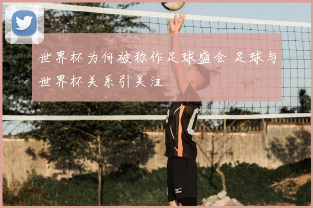 世界杯为何被称作足球盛会 足球与世界杯关系引关注